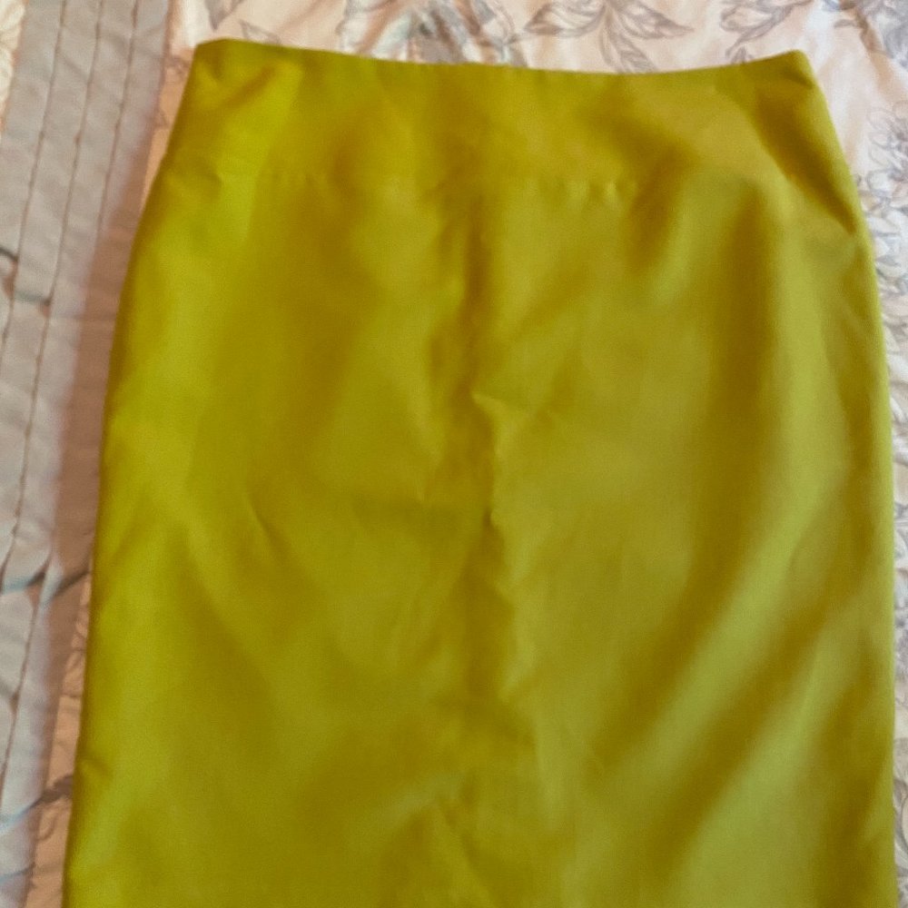 Ladies pencil skirt